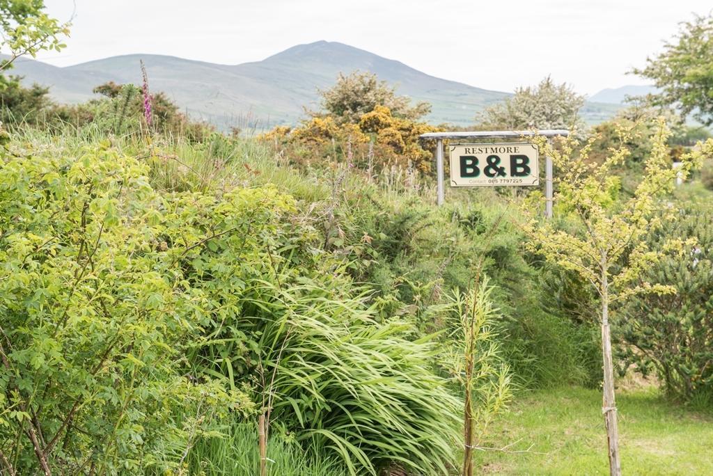 Restmore B&B Anascaul Exteriér fotografie
